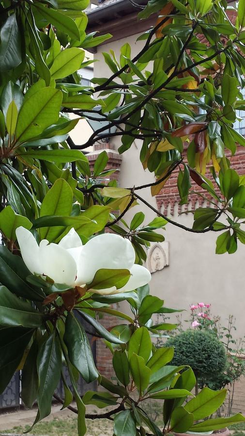 B&B San Martino Mede Экстерьер фото